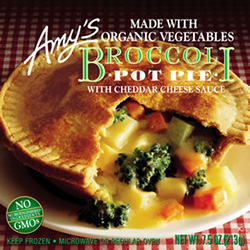 Review of Amy's Broccoli Pot Pie by Dr. Gourmet