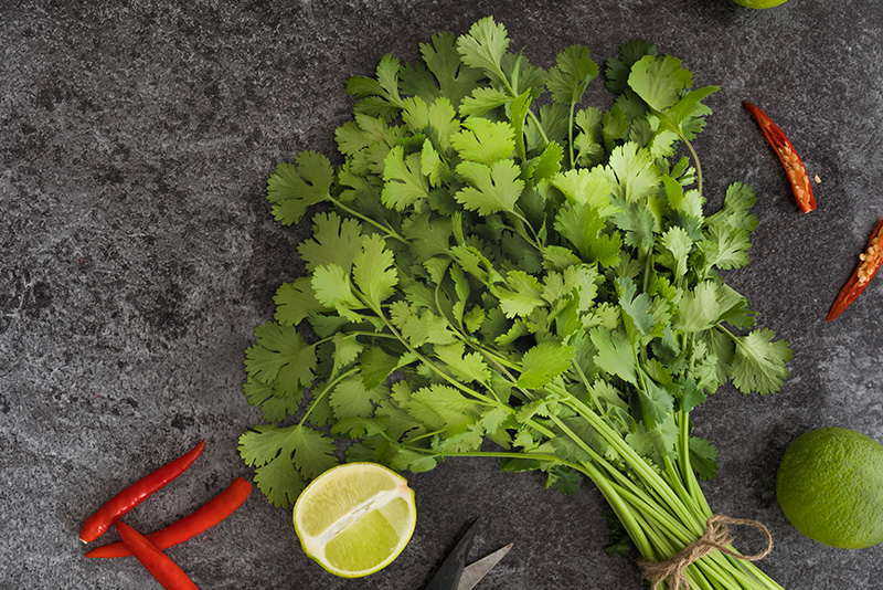 Shrimp with Cilantro Pesto