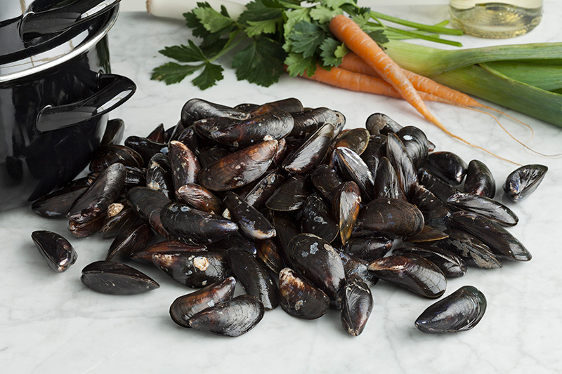 Mussels with Saffron Broth