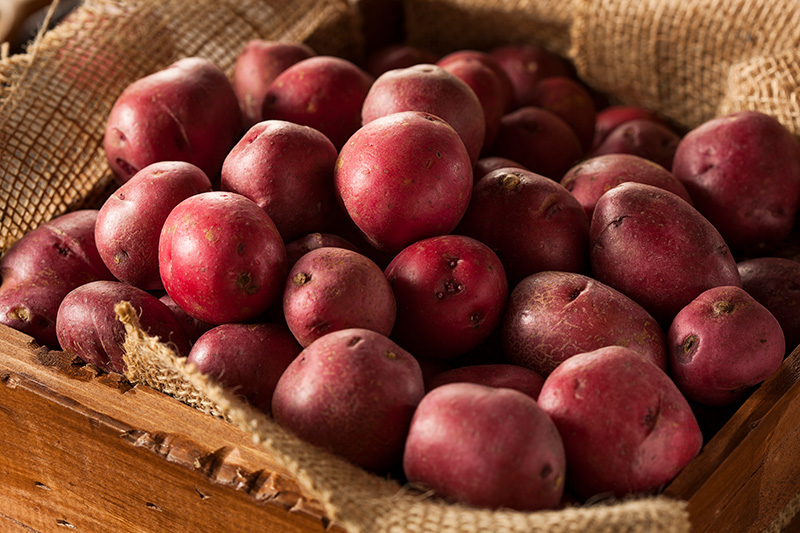 Middle Eastern Spiced Potatoes