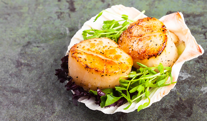 Garam Masala Scallops