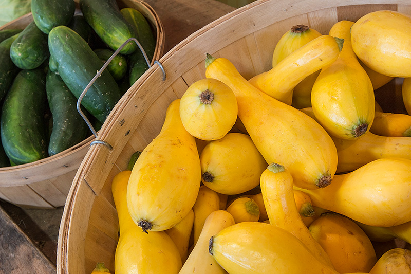 Curried Roasted Squash