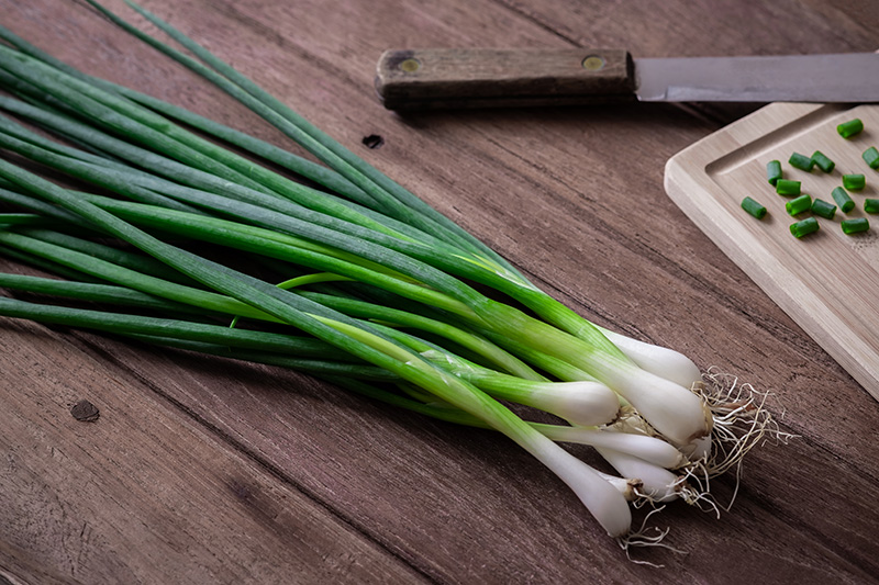 Roasted Scallion Viniagrette