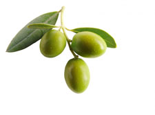 Olives