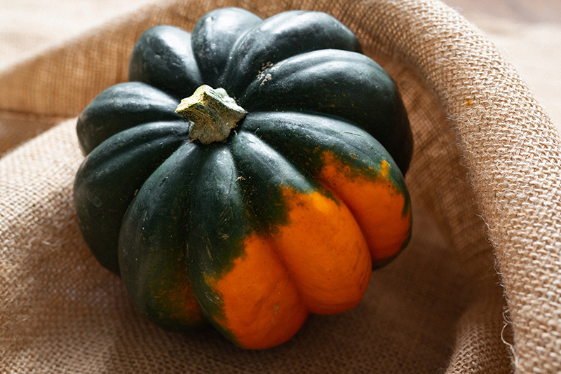 Barley Stuffed Acorn Squash – FSP