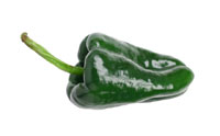 Poblano pepper